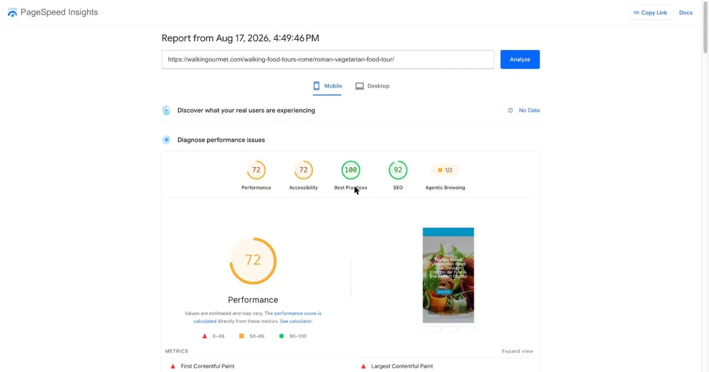 PageSpeed Insights mobile report